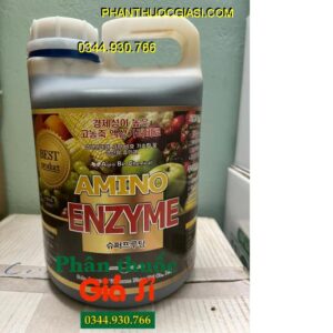 amino-enzyme