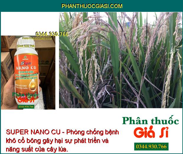 SUPER NANO CU - Chuyên Rửa Vườn - Tẩy Sạch Rong - Nấm Khuẩn - Nấm Bệnh.