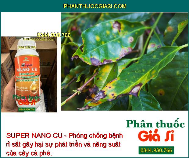 SUPER NANO CU - Chuyên Rửa Vườn - Tẩy Sạch Rong - Nấm Khuẩn - Nấm Bệnh.