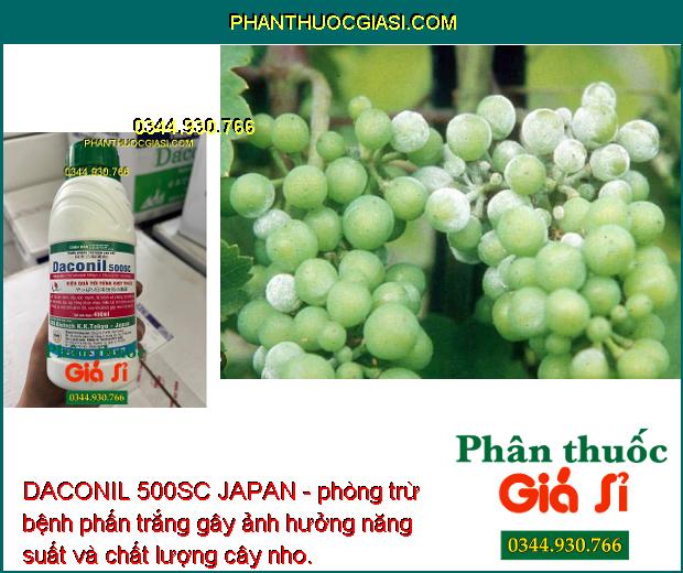 DACONIL 500SC JAPAN - Trừ Nấm Bệnh - Đạo Ôn - Thán Thư - Sương Mai - Khô Vằn