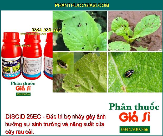 DISCID 25EC - Đặc Trị Sâu Cuốn Lá - Rầy Xanh - Bọ Cánh Tơ - Bọ Xít Muỗi.