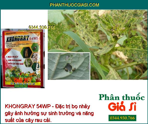 KHONGRAY 54WP - Đặc Trị Rầy Nâu - Rệp Sáp - Rầy Bông - Bọ Trĩ - Rầy Phấn Trắng.