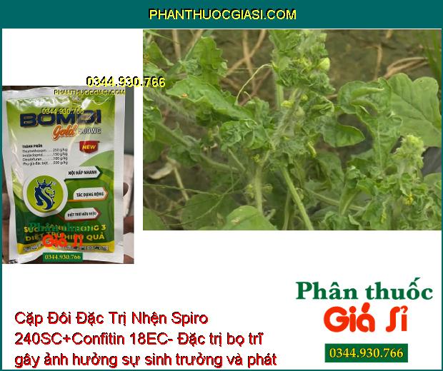 Cặp Đôi Đặc Trị Nhện Spiro 240SC + Confitin 18EC - Sạch Sâu - Rầy Xanh - Bọ Trĩ