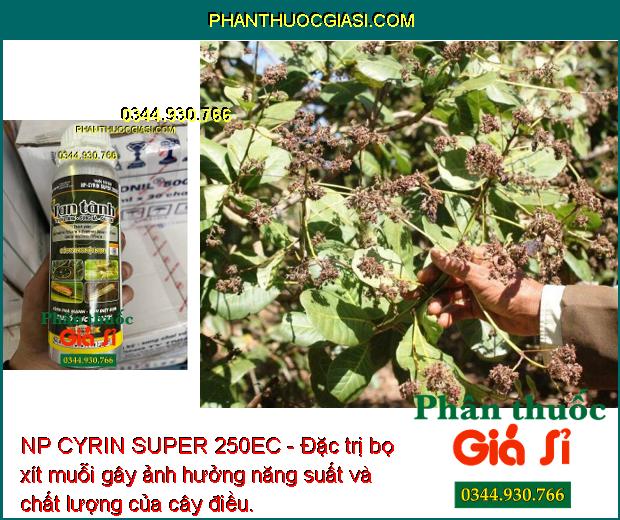 NP CYRIN SUPER 250EC - Đặc Trị Tuyến Trùng - Sùng Hà - Sâu Hại