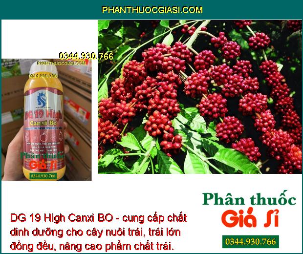 DG 19 High Canxi BO- Hạn Chế Rụng Hoa và Trái Non- Tăng Đậu Trái- Dưỡng Trái.