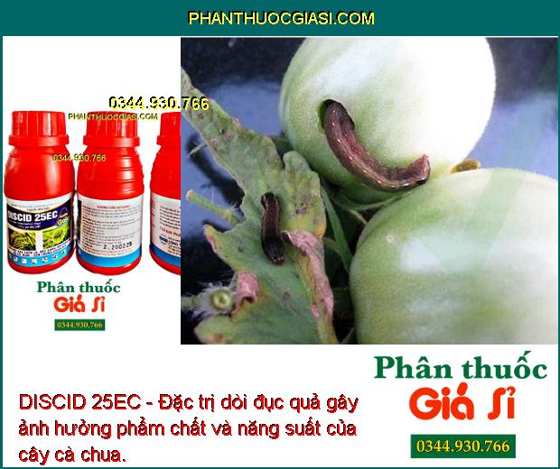 DISCID 25EC - Đặc Trị Sâu Cuốn Lá - Rầy Xanh - Bọ Cánh Tơ - Bọ Xít Muỗi.