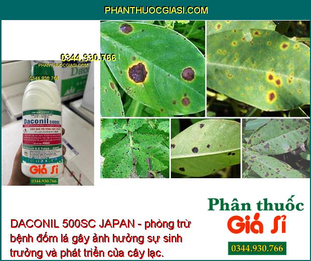 DACONIL 500SC JAPAN - Trừ Nấm Bệnh - Đạo Ôn - Thán Thư - Sương Mai - Khô Vằn