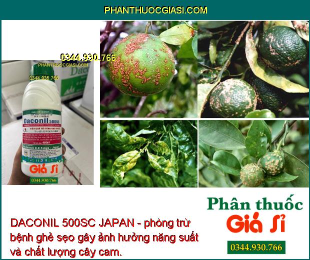 DACONIL 500SC JAPAN - Trừ Nấm Bệnh - Đạo Ôn - Thán Thư - Sương Mai - Khô Vằn