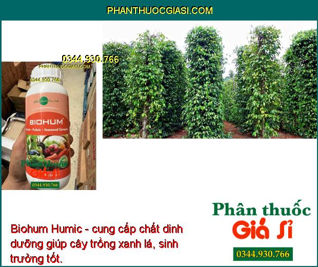 Biohum Humic Fulvic Rong Biển- Kích Ra Rễ- Xanh Lá- Hạ Phèn- Cung Cấp Hữu Cơ