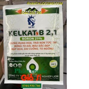 kelkat-b-21-boron