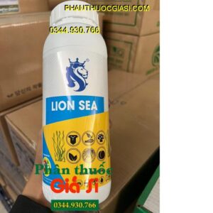 lion-sea