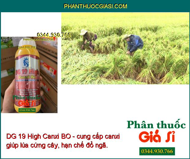 DG 19 High Canxi BO- Hạn Chế Rụng Hoa và Trái Non- Tăng Đậu Trái- Dưỡng Trái.