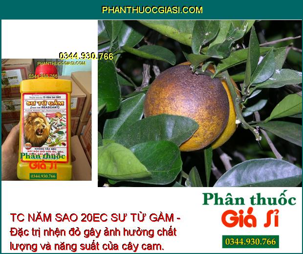 TC NĂM SAO 20EC SƯ TỬ GẦM - Đặc Trị Sâu Cuốn Lá - Nhện Đỏ - Rệp Sáp - Rầu Nâu - Bọ Trĩ - Bọ Cánh Tơ - Bọ Xít