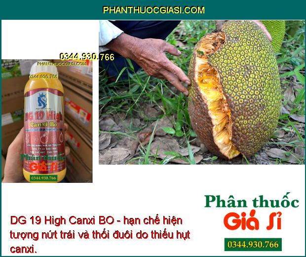 DG 19 High Canxi BO- Hạn Chế Rụng Hoa và Trái Non- Tăng Đậu Trái- Dưỡng Trái.