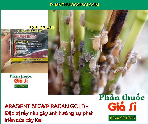 ABAGENT 500WP BADAN GOLD- Đặc Trị Rầy Xanh- Sâu Đục Thân- Rệp Sáp- Rầy Trắng.