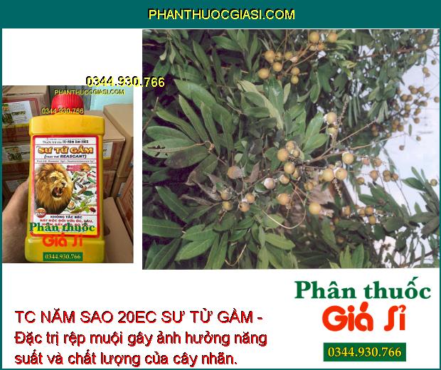 TC NĂM SAO 20EC SƯ TỬ GẦM - Đặc Trị Sâu Cuốn Lá - Nhện Đỏ - Rệp Sáp - Rầu Nâu - Bọ Trĩ - Bọ Cánh Tơ - Bọ Xít