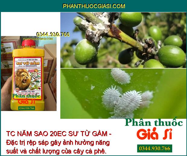 TC NĂM SAO 20EC SƯ TỬ GẦM - Đặc Trị Sâu Cuốn Lá - Nhện Đỏ - Rệp Sáp - Rầu Nâu - Bọ Trĩ - Bọ Cánh Tơ - Bọ Xít