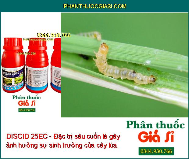 DISCID 25EC - Đặc Trị Sâu Cuốn Lá - Rầy Xanh - Bọ Cánh Tơ - Bọ Xít Muỗi.