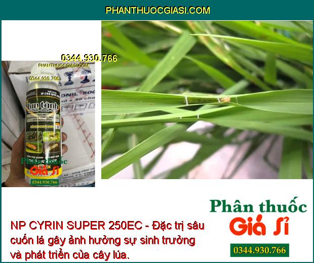 NP CYRIN SUPER 250EC - Đặc Trị Tuyến Trùng - Sùng Hà - Sâu Hại