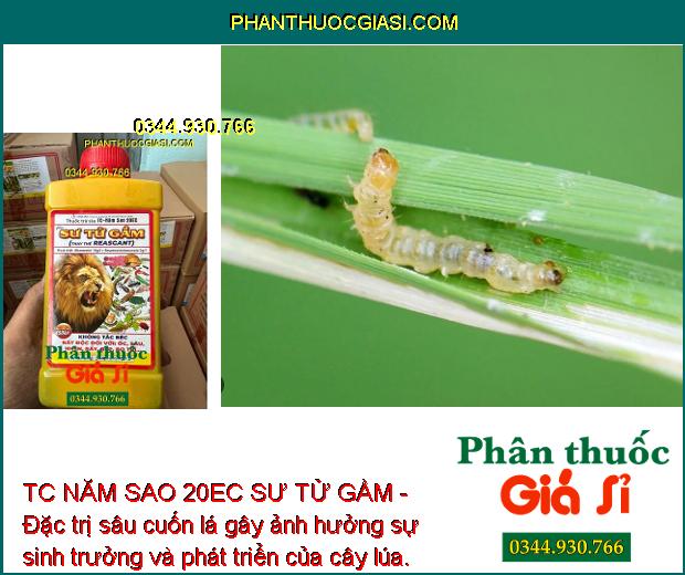 TC NĂM SAO 20EC SƯ TỬ GẦM - Đặc Trị Sâu Cuốn Lá - Nhện Đỏ - Rệp Sáp - Rầu Nâu - Bọ Trĩ - Bọ Cánh Tơ - Bọ Xít