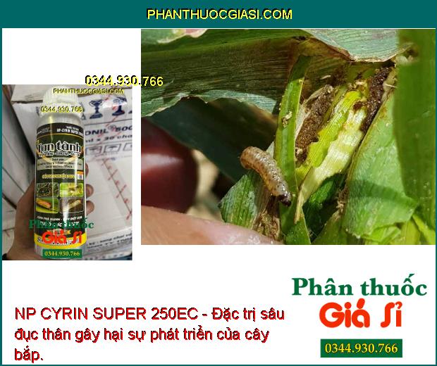 NP CYRIN SUPER 250EC - Đặc Trị Tuyến Trùng - Sùng Hà - Sâu Hại