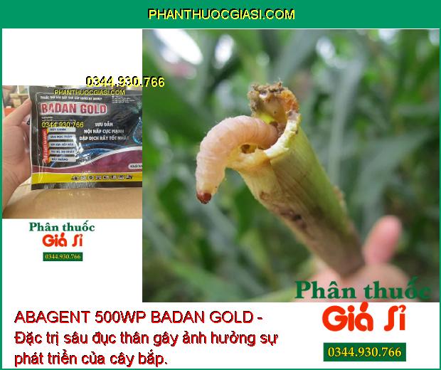 ABAGENT 500WP BADAN GOLD- Đặc Trị Rầy Xanh- Sâu Đục Thân- Rệp Sáp- Rầy Trắng.