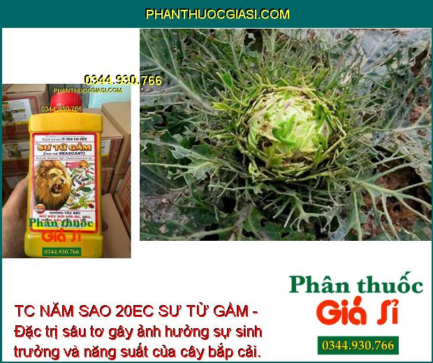 TC NĂM SAO 20EC SƯ TỬ GẦM - Đặc Trị Sâu Cuốn Lá - Nhện Đỏ - Rệp Sáp - Rầu Nâu - Bọ Trĩ - Bọ Cánh Tơ - Bọ Xít