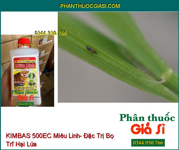 KIMBAS 500EC Miêu Linh- Đặc Trị Rầy Xanh- Rệp Sáp- Bọ Xít Muỗi- Rầy Nâu