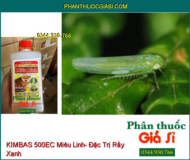 KIMBAS 500EC Miêu Linh- Đặc Trị Rầy Xanh- Rệp Sáp- Bọ Xít Muỗi- Rầy Nâu