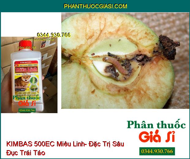 KIMBAS 500EC Miêu Linh- Đặc Trị Rầy Xanh- Rệp Sáp- Bọ Xít Muỗi- Rầy Nâu