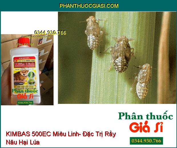 KIMBAS 500EC Miêu Linh- Đặc Trị Rầy Xanh- Rệp Sáp- Bọ Xít Muỗi- Rầy Nâu