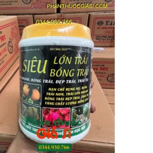 sieu-lon-trai-bong-trai