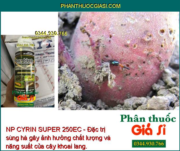 NP CYRIN SUPER 250EC - Đặc Trị Tuyến Trùng - Sùng Hà - Sâu Hại