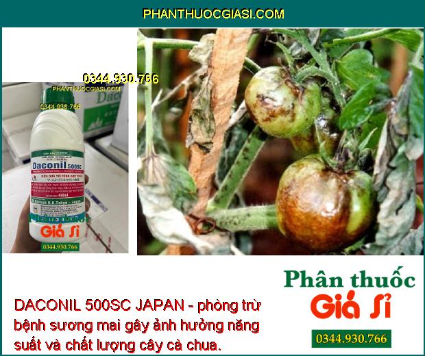 DACONIL 500SC JAPAN - Trừ Nấm Bệnh - Đạo Ôn - Thán Thư - Sương Mai - Khô Vằn