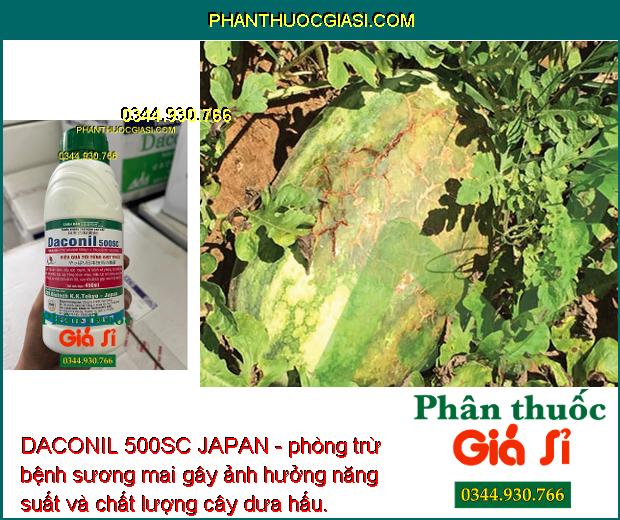 DACONIL 500SC JAPAN - Trừ Nấm Bệnh - Đạo Ôn - Thán Thư - Sương Mai - Khô Vằn