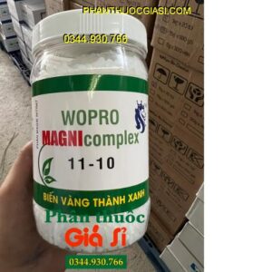 wopro-magni-complex-11-10