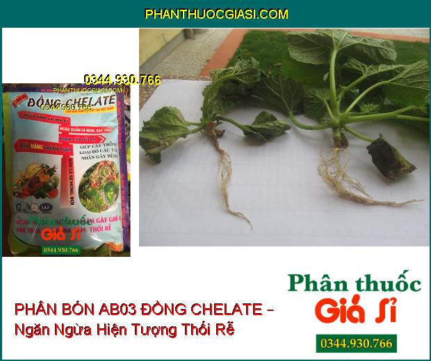 PHÂN BÓN AB03 ĐỒNG CHELATE – Xanh Cây Tốt Lá- Ngừa Vàng Lá- Thối Rễ- Xoắn Lá Non