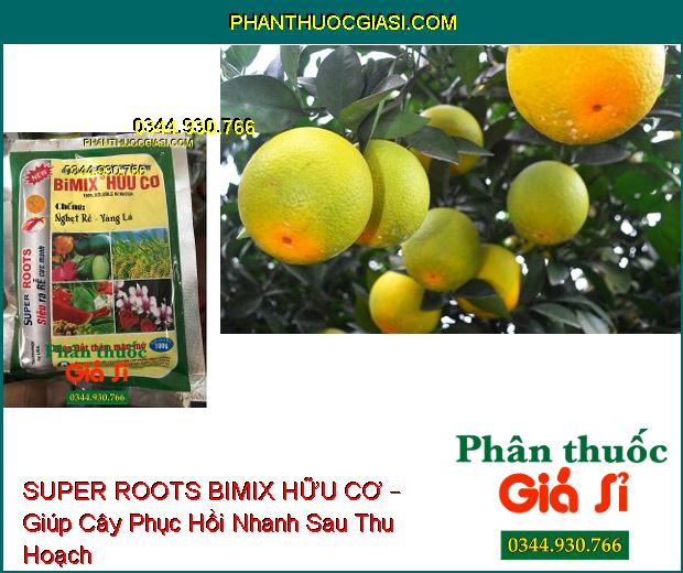 SUPER ROOTS BIMIX HỮU CƠ – Chống Nghẹt Rễ, Vàng Lá- Giúp Đất Thêm Màu Mỡ