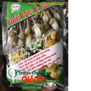 GIẢI ĐỘC PACLO – Giải Độc Cây- Phục Hồi Cây Sau Thu Hoạch- Xanh Lá- Ra Rễ