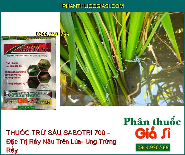 THUỐC TRỪ SÂU SABOTRI 700 – Đặc Trị Rầy Nâu Trên Lúa- Ung Trứng Rầy