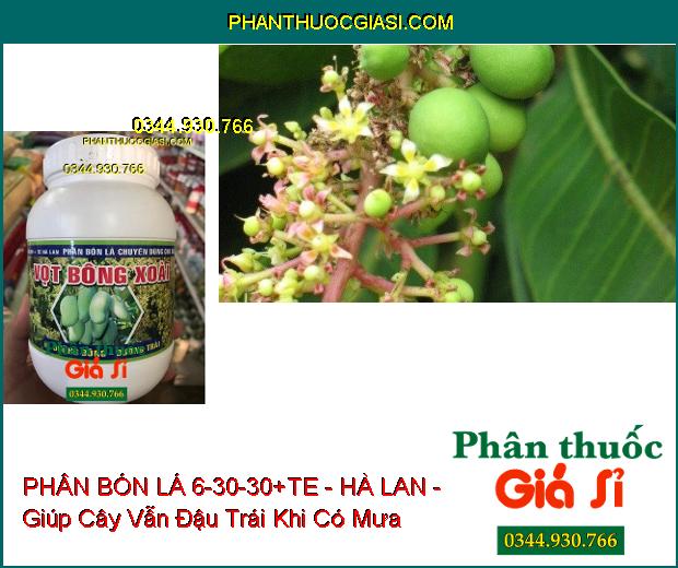 PHÂN BÓN LÁ 6-30-30+TE - HÀ LAN - Ra Hoa Mạnh- Cuống Hoa Chắc Dẻo- Tăng Đậu Trái