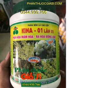 PHÂN BÓN LÁ CAO CẤP KINA – 01 LÂN 52 – Phân Hóa Mầm Hoa- Ra Hoa Đồng Loạt- Chống Rụng Hoa Trái