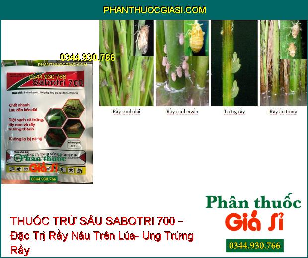 THUỐC TRỪ SÂU SABOTRI 700 – Đặc Trị Rầy Nâu Trên Lúa- Ung Trứng Rầy