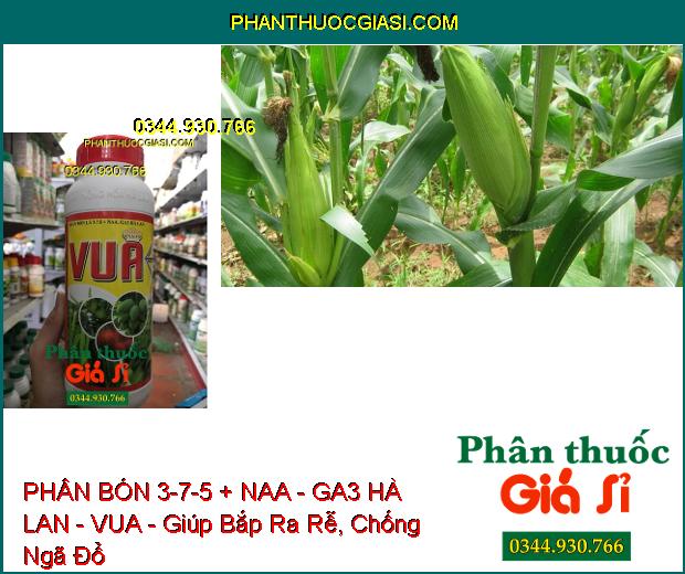 PHÂN BÓN LÁ 3-7-5 + NAA - GA3 HÀ LAN - VUA - Ra Rễ- Đâm Chồi Kéo Đọt- Xanh Dày Lá