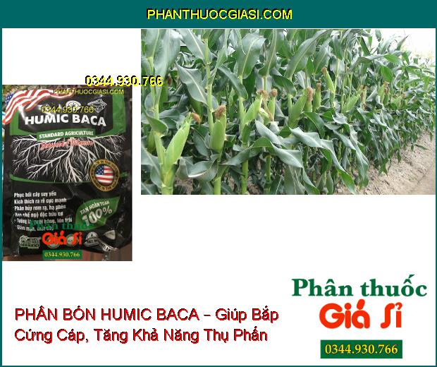 PHÂN BÓN LÁ KALI SINH HỌC HUMIC BACA – Cải Tạo Đất- Phục Hồi Cây- Ra Rễ Nhanh- Tăng Đề Kháng