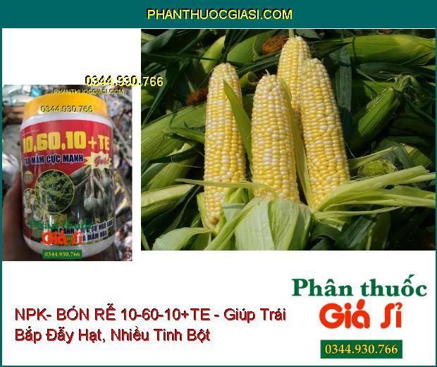 NPK- BÓN RỄ 10-60-10+TE -TẠO MẦM HOA GOLD- Đánh Thức Mầm Hoa Ngủ- Kích Ra Hoa Đồng Loạt- Hạn Chế Khô Đen Bông