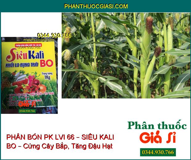 PHÂN BÓN HỖN HỢP PK LVI 66 – SIÊU KALI BO – Tăng Đậu Hạt, Trái- Cứng Cây- Kháng Sâu Bệnh