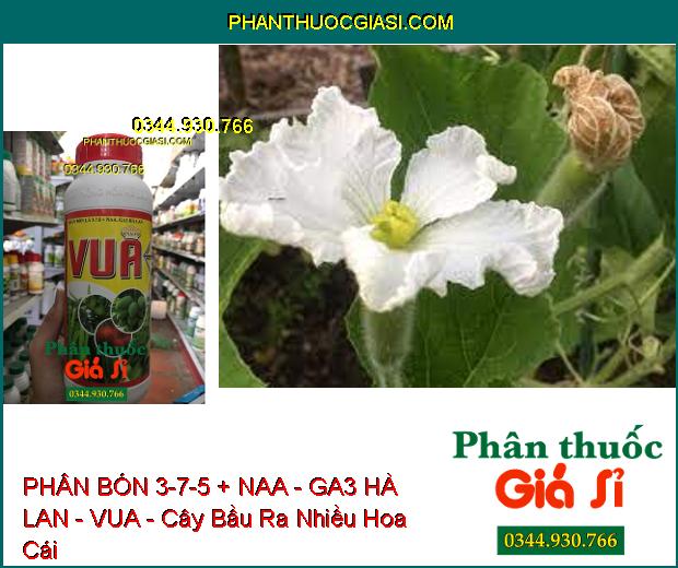 PHÂN BÓN LÁ 3-7-5 + NAA - GA3 HÀ LAN - VUA - Ra Rễ- Đâm Chồi Kéo Đọt- Xanh Dày Lá