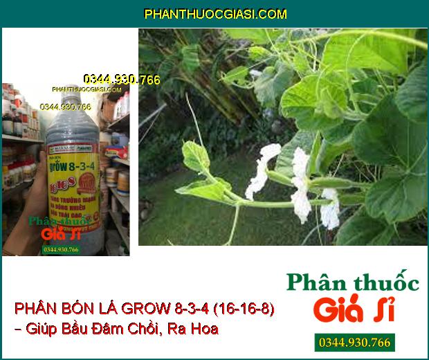 PHÂN BÓN LÁ GROW 8-3-4 (16-16-8) – Sinh Trưởng Nhanh- Ra Hoa Đậu Trái Nhiều- Trái Chín Đồng Loạt