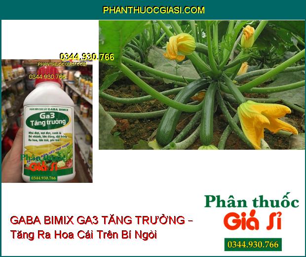 PHÂN BÓN GABA BIMIX GA3 TĂNG TRƯỞNG – Đẻ Nhánh- Vọt Đọt- Dài Bông- Lớn Trái